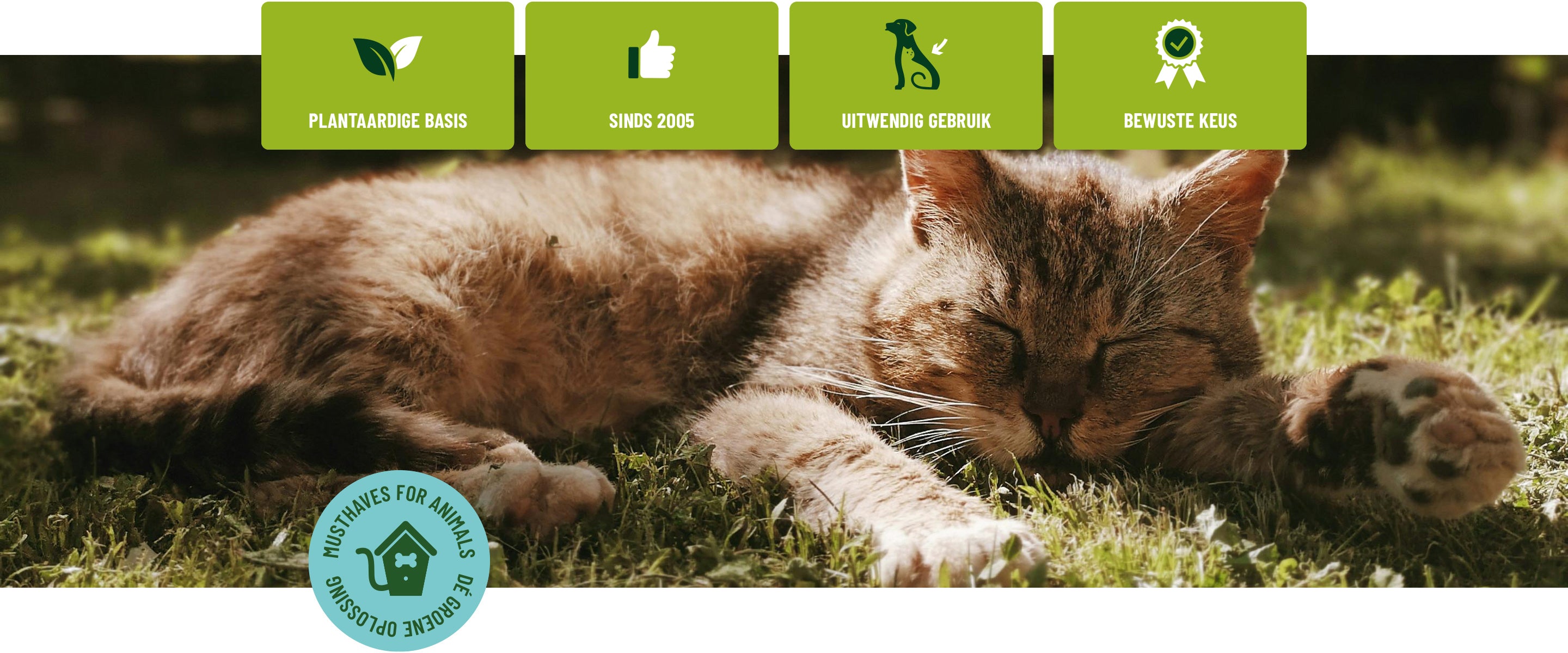 3.1-Afbeelding-kernwaarden-2880-breed.jpg