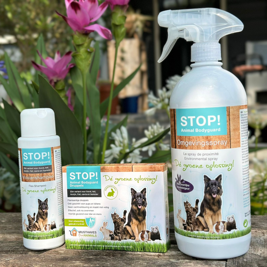 Voordeelbundel Hond en Huis | 15% korting