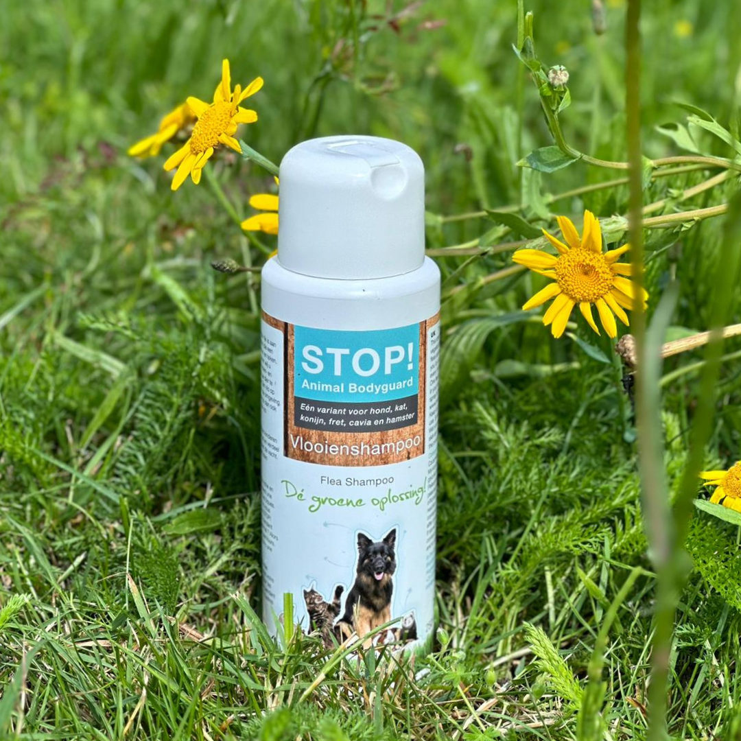 STOP! Care Shampoo 250ml